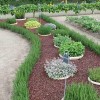 Градински кантове идеи за растения