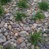 Използване на камъни в градинските легла