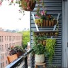 Апартамент балкон растения