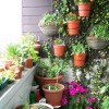 Градинарство в дома балкон