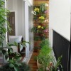 Растения за малък балкон