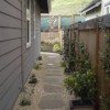 Озеленяване тесен страничен двор