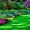 Снимки на красиви градини