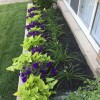 Цветни идеи за озеленяване за предния двор