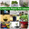 Творчески идеи за саксии за растения