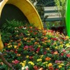 Градински саксии за цветя дизайни