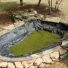 Кой езерце в задния двор