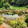 Естествено градинско езерце