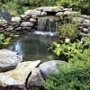 Камъни за градински езера