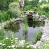 Идеи за езерце за диви животни