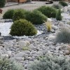 Идеи за озеленяване на предния двор с камъни