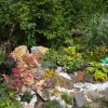 Идеи за алпинеум в градината