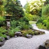 Японски градински ландшафтни растения