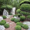 Японски градински храсти