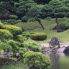 Японски градини