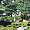 Древни японски градини