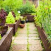 Предимства на повдигнатите градински легла