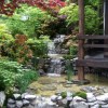 Японски водни градини