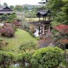 Списък на растенията за японска градина