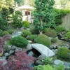 Списък на растенията за японски градини