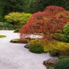 Бързи и лесни японски градини