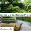 Традиционни японски градински растения