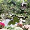 Японска градина