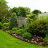 Идеи за цветна градина в задния двор