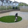 Идеи за озеленяване на задния двор за кучета