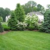 Идеи за озеленяване на задния двор