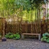 Бамбук градина дизайн идеи