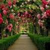 Красиви градини