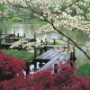 Красиви японски градини снимки