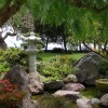 Най-добрите растения за Японската градина