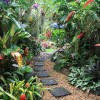 Най-добрите тропически градини