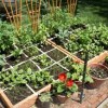 Контейнер зеленчуци градинарство идеи