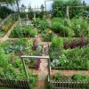 Вила зеленчукова градина дизайн