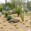 Идеи за дизайн на пустинна градина