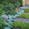 Идеи за дизайн на суха градина