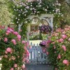 Английски вила градина снимки
