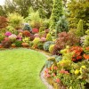 Идеи и дизайн за цветна градина