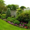 Идеи за градина заден двор