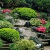 Градина японски