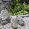 Градински камъни и камъни