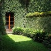 Зелена градина дизайн