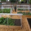 Основен идеи за дизайн на зеленчукова градина