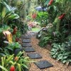 Как да създадете тропическа градина