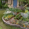 Идеи за градина