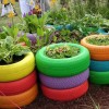 Идеи за вашата градина