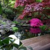 Снимки японски градини